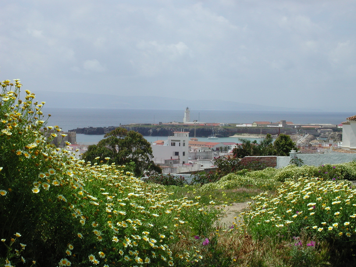 Blick auf Tarifa aus der Natur heraus