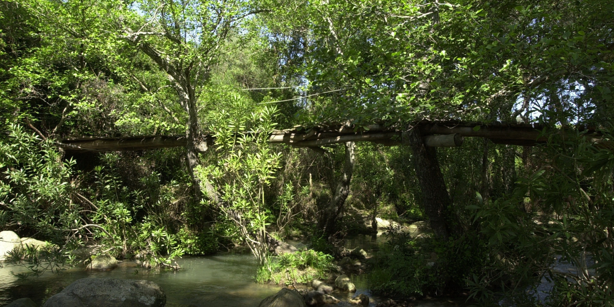 Hängebrücke